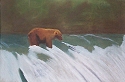 bear fishing