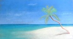 coral island